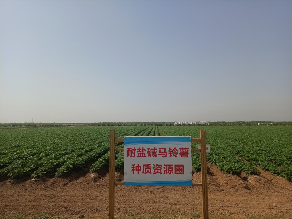 bbin电竞游戏的官方网址