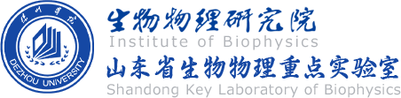 bbin电竞游戏的官方网址